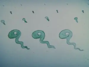 Han Seisaku Sakuhin